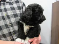 processed/c04a179a-de75-4e11-9e6e-621f36830bd9/listing/310ade29-7058-44b6-ad89-9ad44ef0c1ff/73ec4ccf-3531-42cd-8a2c-6927e5582b5b