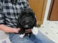 processed/c04a179a-de75-4e11-9e6e-621f36830bd9/listing/310ade29-7058-44b6-ad89-9ad44ef0c1ff/81458b98-ce66-4807-9189-ec96c0346b8e