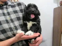 processed/c04a179a-de75-4e11-9e6e-621f36830bd9/listing/310ade29-7058-44b6-ad89-9ad44ef0c1ff/ce56e09d-e195-4be2-bbaa-d0806e00c385