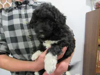 processed/c04a179a-de75-4e11-9e6e-621f36830bd9/listing/310ade29-7058-44b6-ad89-9ad44ef0c1ff/db229ec0-eae7-4a34-955e-1ced6d638520