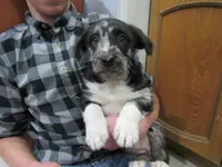 processed/c04a179a-de75-4e11-9e6e-621f36830bd9/listing/66ef73c8-c822-4c0e-96f2-5fe2719bb9cc/4cf78644-5187-4531-b951-b840eedf2891