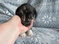 processed/c04a179a-de75-4e11-9e6e-621f36830bd9/listing/66ef73c8-c822-4c0e-96f2-5fe2719bb9cc/6d32fe6c-db8e-4008-9f90-88a43e753763