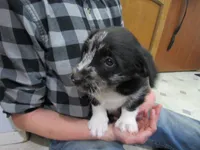 processed/c04a179a-de75-4e11-9e6e-621f36830bd9/listing/66ef73c8-c822-4c0e-96f2-5fe2719bb9cc/6d3e8bfa-159c-4e8e-b649-cd545dbc2c04