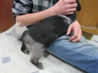 processed/c04a179a-de75-4e11-9e6e-621f36830bd9/listing/66ef73c8-c822-4c0e-96f2-5fe2719bb9cc/760372ca-fc9b-4382-988d-31500c0039fc