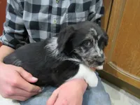 processed/c04a179a-de75-4e11-9e6e-621f36830bd9/listing/66ef73c8-c822-4c0e-96f2-5fe2719bb9cc/f96147ec-82de-4cff-9059-dc8c1467cf1d