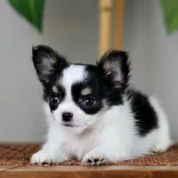 processed/c04a9b7f-8441-40cc-9eef-7f3a0814810e/facility/0d3b7f05-98fe-4a57-9304-22b32bcbdf5a