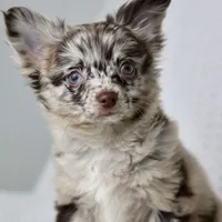 processed/c04a9b7f-8441-40cc-9eef-7f3a0814810e/facility/2a68cfec-49f4-41f4-ace6-7ba992cb2046