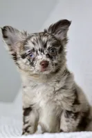 processed/c04a9b7f-8441-40cc-9eef-7f3a0814810e/facility/2a68cfec-49f4-41f4-ace6-7ba992cb2046