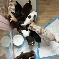 processed/c04a9b7f-8441-40cc-9eef-7f3a0814810e/facility/4e207232-f5f1-4038-a294-d6efd6c7d6e3