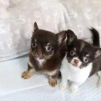 processed/c04a9b7f-8441-40cc-9eef-7f3a0814810e/facility/504f068e-d1dd-4053-84f6-88971c122d8d