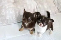 processed/c04a9b7f-8441-40cc-9eef-7f3a0814810e/facility/504f068e-d1dd-4053-84f6-88971c122d8d