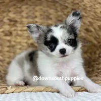 processed/c04a9b7f-8441-40cc-9eef-7f3a0814810e/facility/62986f89-ef70-4509-86f9-fd9b46da8461