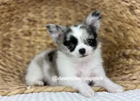 processed/c04a9b7f-8441-40cc-9eef-7f3a0814810e/facility/62986f89-ef70-4509-86f9-fd9b46da8461