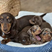 processed/c04a9b7f-8441-40cc-9eef-7f3a0814810e/facility/98d4e3d0-59d5-4c94-ae39-dcf3bf56c6aa