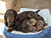 processed/c04a9b7f-8441-40cc-9eef-7f3a0814810e/facility/98d4e3d0-59d5-4c94-ae39-dcf3bf56c6aa