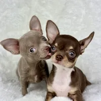 processed/c04a9b7f-8441-40cc-9eef-7f3a0814810e/facility/a3523da7-c373-4f52-adcc-25e27aa8798f