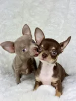 processed/c04a9b7f-8441-40cc-9eef-7f3a0814810e/facility/a3523da7-c373-4f52-adcc-25e27aa8798f