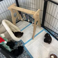 processed/c04a9b7f-8441-40cc-9eef-7f3a0814810e/facility/b1a982e6-3cb4-4cfc-b862-162f7eca7407