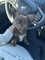 processed/c04a9b7f-8441-40cc-9eef-7f3a0814810e/listing/4894d2b3-721b-467b-ae61-c87d18f23302/25b51a25-a434-405c-bcf2-da1519912f20