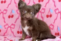 processed/c04a9b7f-8441-40cc-9eef-7f3a0814810e/listing/4894d2b3-721b-467b-ae61-c87d18f23302/3d9000f9-4e8c-425d-8bef-5bccce79698d