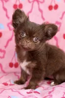 processed/c04a9b7f-8441-40cc-9eef-7f3a0814810e/listing/4894d2b3-721b-467b-ae61-c87d18f23302/c91e3331-010e-4e80-8d4d-4bd2487dac19