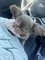 processed/c04a9b7f-8441-40cc-9eef-7f3a0814810e/listing/4894d2b3-721b-467b-ae61-c87d18f23302/d19ff982-cf18-4b92-b56d-90338e8a9de1