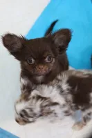 processed/c04a9b7f-8441-40cc-9eef-7f3a0814810e/listing/4894d2b3-721b-467b-ae61-c87d18f23302/daf6b11c-b471-4bc7-9dc1-a6fc526d6c5d