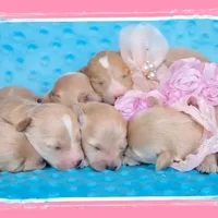 processed/c04f794a-2beb-4bfb-982b-b28005a9c380/facility/d340ab6a-e5df-499d-a876-7bd03ea482cb