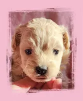 processed/c04f794a-2beb-4bfb-982b-b28005a9c380/listing/d2396fb1-81ec-4c30-aa5c-424ecb2079db/24d717a6-6f1c-4210-aa09-61766887094d