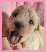 processed/c04f794a-2beb-4bfb-982b-b28005a9c380/listing/d2396fb1-81ec-4c30-aa5c-424ecb2079db/4f4f68f4-a64c-4503-9c82-9b551e12d0a3