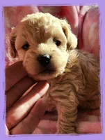 processed/c04f794a-2beb-4bfb-982b-b28005a9c380/listing/f9d8f0eb-3d8d-4305-8ea8-5f875fe5ab48/aeb504e5-1478-494e-8276-f49b6a45d8af