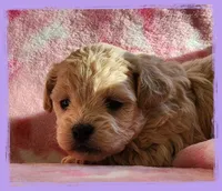 processed/c04f794a-2beb-4bfb-982b-b28005a9c380/listing/f9d8f0eb-3d8d-4305-8ea8-5f875fe5ab48/fd800d24-8505-47db-b828-2fa3cbb98e64