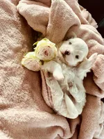 processed/c059d603-7fc3-4c60-99ab-42d5a4a61b73/listing/a0f3d344-05ae-4d4a-a17c-2e3b9bfe4fb5/02a71fa0-a78f-40cd-bc6c-cd353ff4d5c4