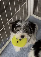 processed/c05f2599-acf0-4d3f-ae2d-d40b62635b26/listing/38682469-d84f-4b82-b74c-3264827d77ce/786a43ef-c745-4b08-80ba-30ecdfd19d8f