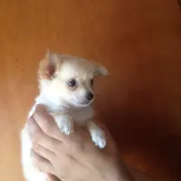 processed/c05f2d34-157c-4b76-80a2-ad46081e55c7/facility/165ccb2d-6bc5-4b22-85d7-26183b735b59