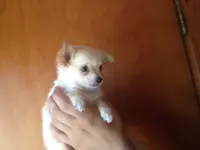 processed/c05f2d34-157c-4b76-80a2-ad46081e55c7/facility/165ccb2d-6bc5-4b22-85d7-26183b735b59