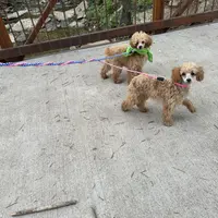 processed/c05f2d34-157c-4b76-80a2-ad46081e55c7/facility/1b3f1628-de03-4d79-bd0a-200a4d2a1157