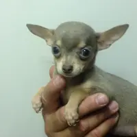 processed/c05f2d34-157c-4b76-80a2-ad46081e55c7/facility/21cc51f1-c8b2-49a5-afec-2f0282f0c237