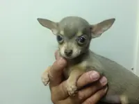 processed/c05f2d34-157c-4b76-80a2-ad46081e55c7/facility/21cc51f1-c8b2-49a5-afec-2f0282f0c237