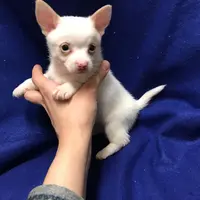 processed/c05f2d34-157c-4b76-80a2-ad46081e55c7/facility/6bb9b4af-4725-43c5-ab01-9370c4beffab