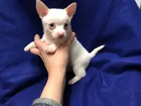 processed/c05f2d34-157c-4b76-80a2-ad46081e55c7/facility/6bb9b4af-4725-43c5-ab01-9370c4beffab