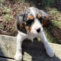 processed/c05f2d34-157c-4b76-80a2-ad46081e55c7/facility/85206592-6448-4c2f-a533-e173eac97421