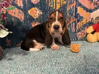 processed/c05f2d34-157c-4b76-80a2-ad46081e55c7/facility/bc9ab277-6aec-4ed5-ab77-a4249a3bbb1e