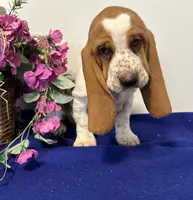 processed/c05f2d34-157c-4b76-80a2-ad46081e55c7/facility/ca928e5d-1cd5-4c1c-9cad-d5c69fb8c59c