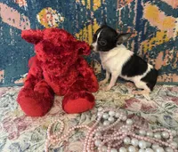 processed/c05f2d34-157c-4b76-80a2-ad46081e55c7/listing/3843e170-8950-4250-9435-eab0f698d0c3/4404bd5c-51f1-456d-bfa2-48a31f0f4b0f