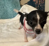 processed/c05f2d34-157c-4b76-80a2-ad46081e55c7/listing/3843e170-8950-4250-9435-eab0f698d0c3/448c1f12-9fe6-4006-a1ea-554211d68e0d