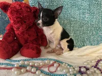 processed/c05f2d34-157c-4b76-80a2-ad46081e55c7/listing/3843e170-8950-4250-9435-eab0f698d0c3/6c9508aa-caa0-443f-a175-862e6e8836ee