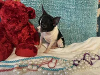 processed/c05f2d34-157c-4b76-80a2-ad46081e55c7/listing/3843e170-8950-4250-9435-eab0f698d0c3/beca9721-d1ea-48b8-a298-309c756d40c8