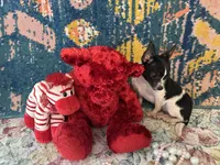 processed/c05f2d34-157c-4b76-80a2-ad46081e55c7/listing/3843e170-8950-4250-9435-eab0f698d0c3/d2c1f033-23be-4f7a-96b8-b53c4d348753