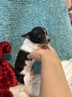 processed/c05f2d34-157c-4b76-80a2-ad46081e55c7/listing/3843e170-8950-4250-9435-eab0f698d0c3/d6f200a9-59e8-43bd-a284-c6689090a713